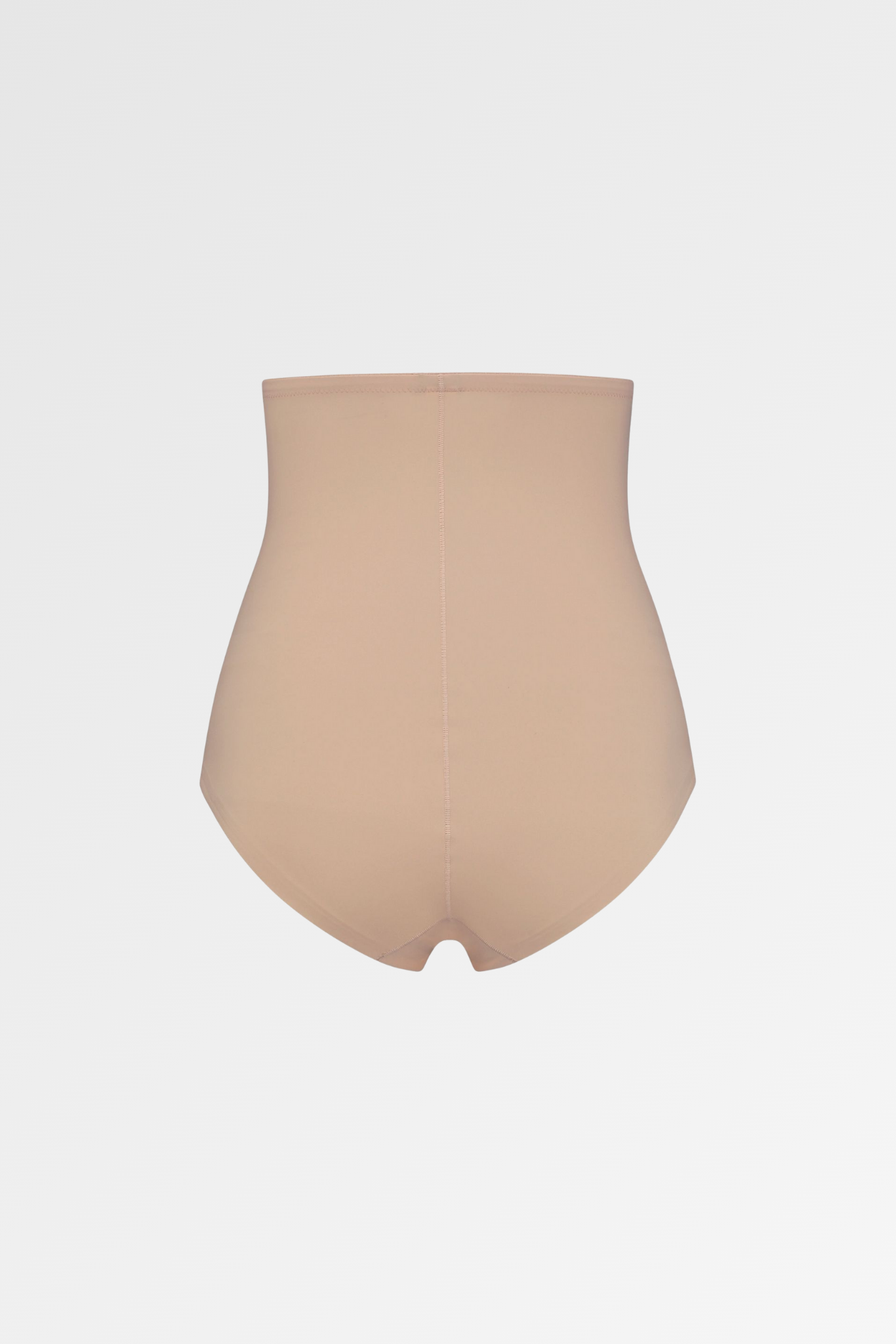 Sculpting High Waist Brief