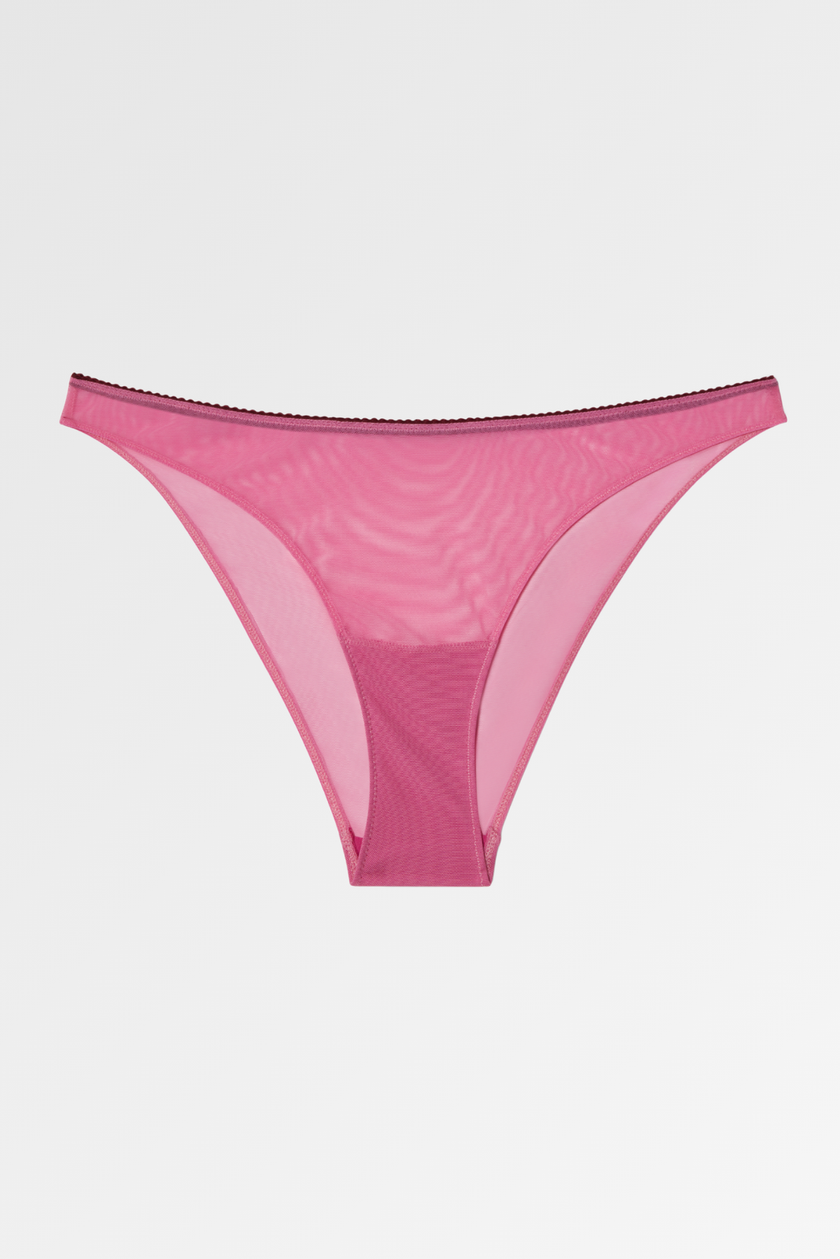 Understatement Mesh Bikini Brief