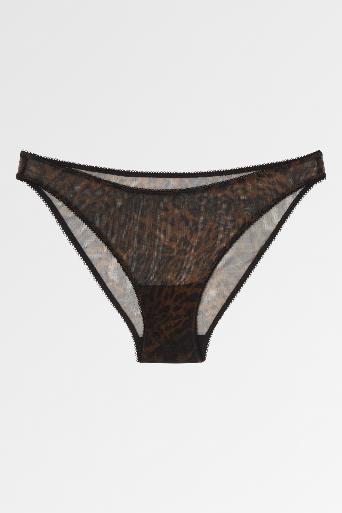 Understatement Mesh Bikini Brief