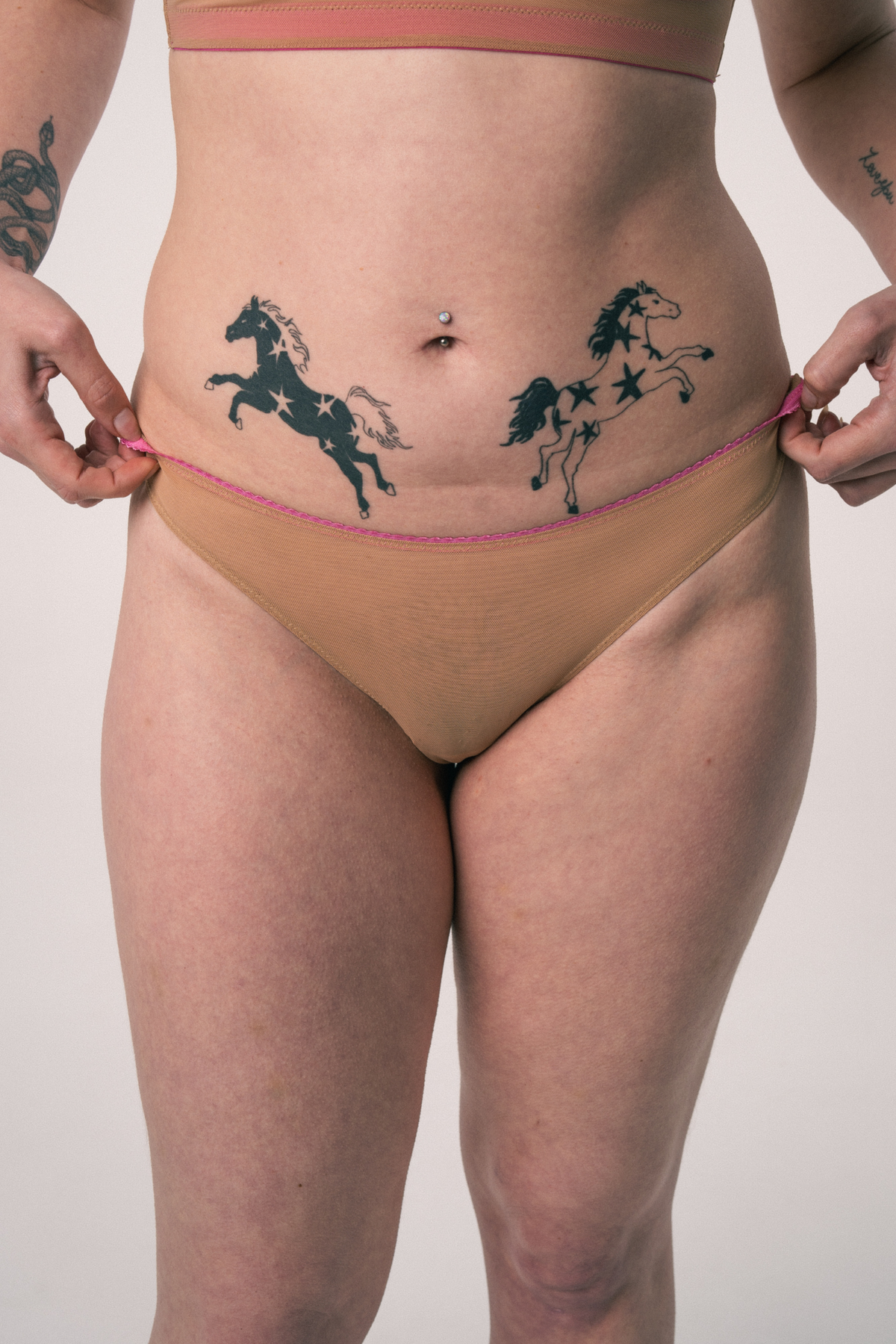 Understatement Mesh Bikini Brief