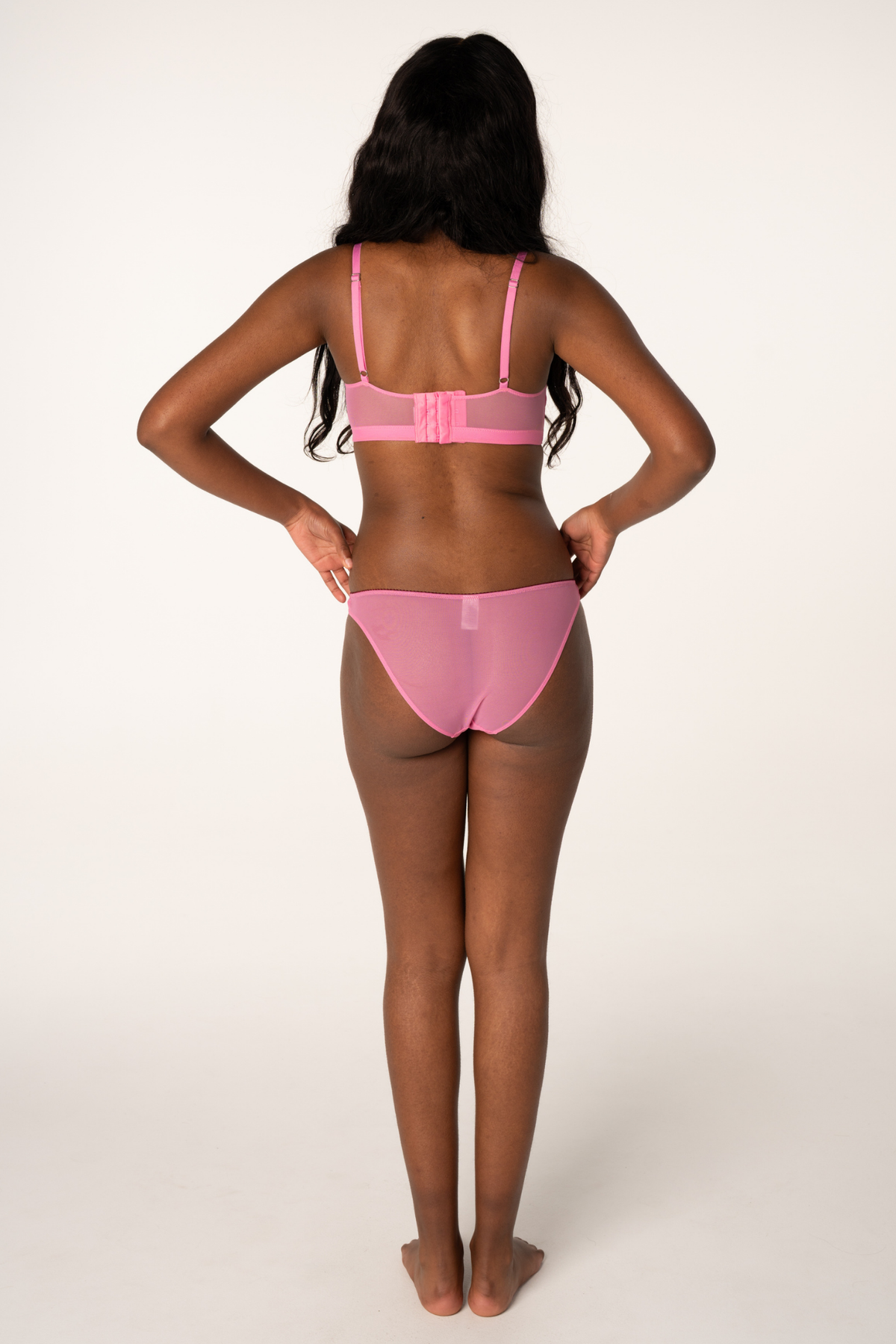 Understatement Mesh Bikini Brief