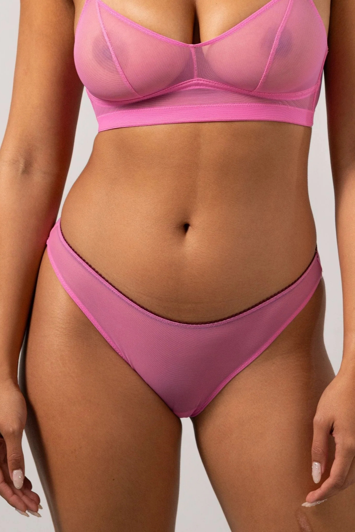Understatement Mesh Bikini Brief