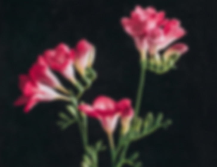 FittingRoomFlowersBlurry.jpg__PID:1ab2db09-b8b2-4e5b-bd56-c8ab814f5fcd
