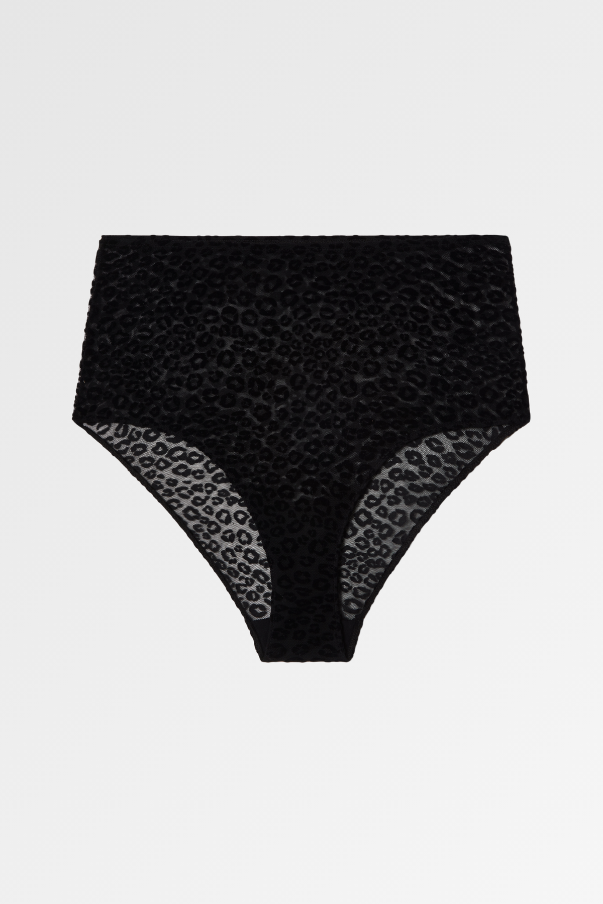 Understatement Mesh Highwaist Brief