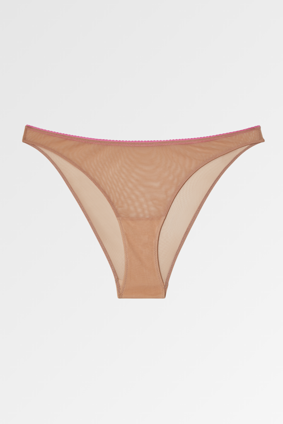 Understatement Mesh Bikini Brief